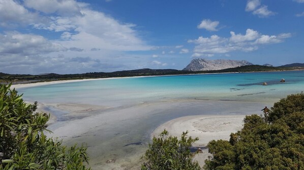 Beach nearby, sun-loungers