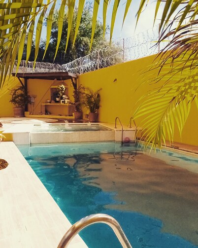 PAROTA HOUSE CLIMATE AND POOL.