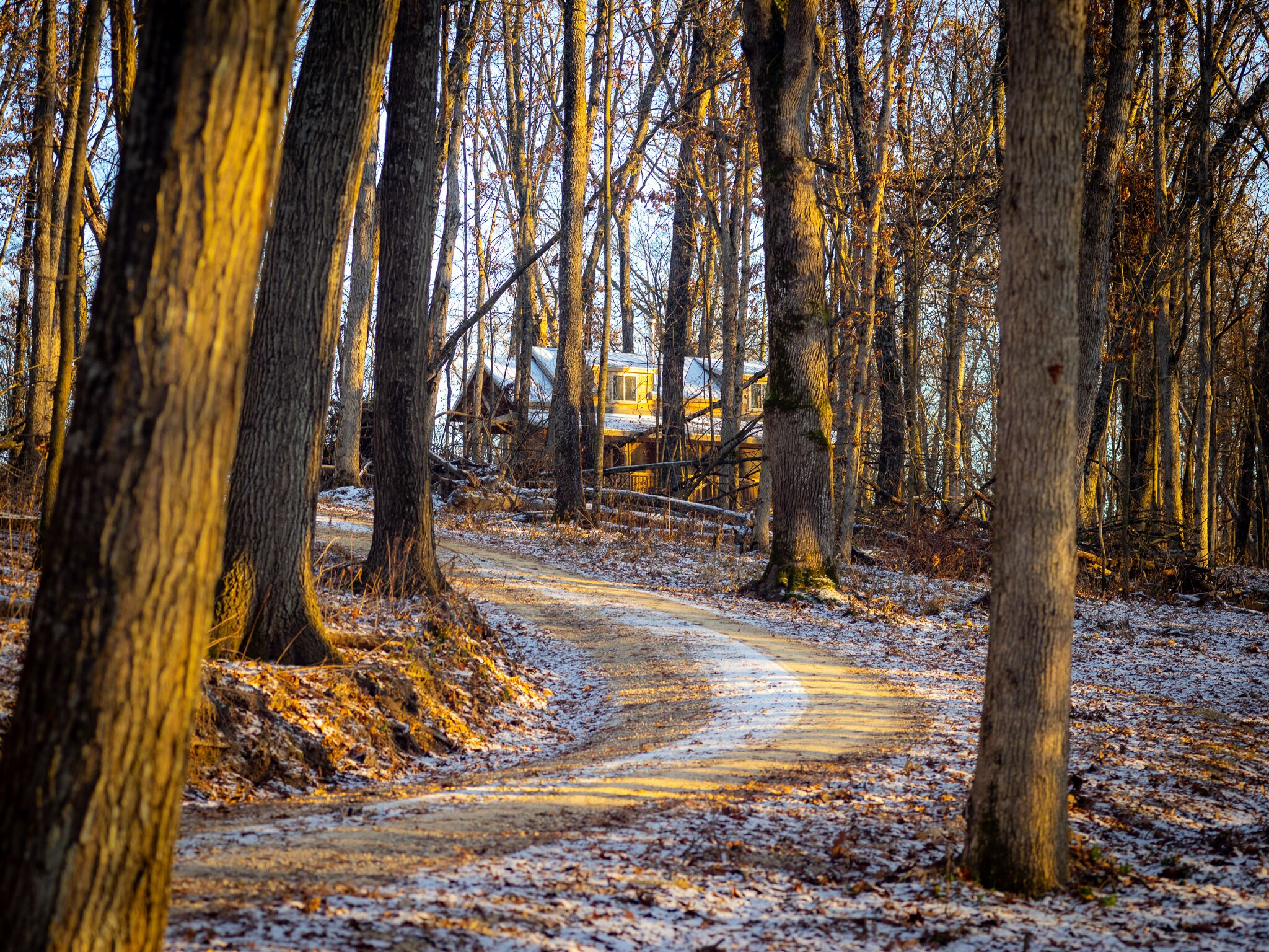 A forest path with trees and a building in the background.