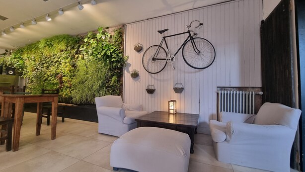 Ein modernes Wohnzimmer mit einem weißen Sofa, einem kleinen Tisch und einem an der Wand befestigten Fahrrad. Eine grüne Wand mit Pflanzen und einem Heizkörper ist ebenfalls zu sehen.