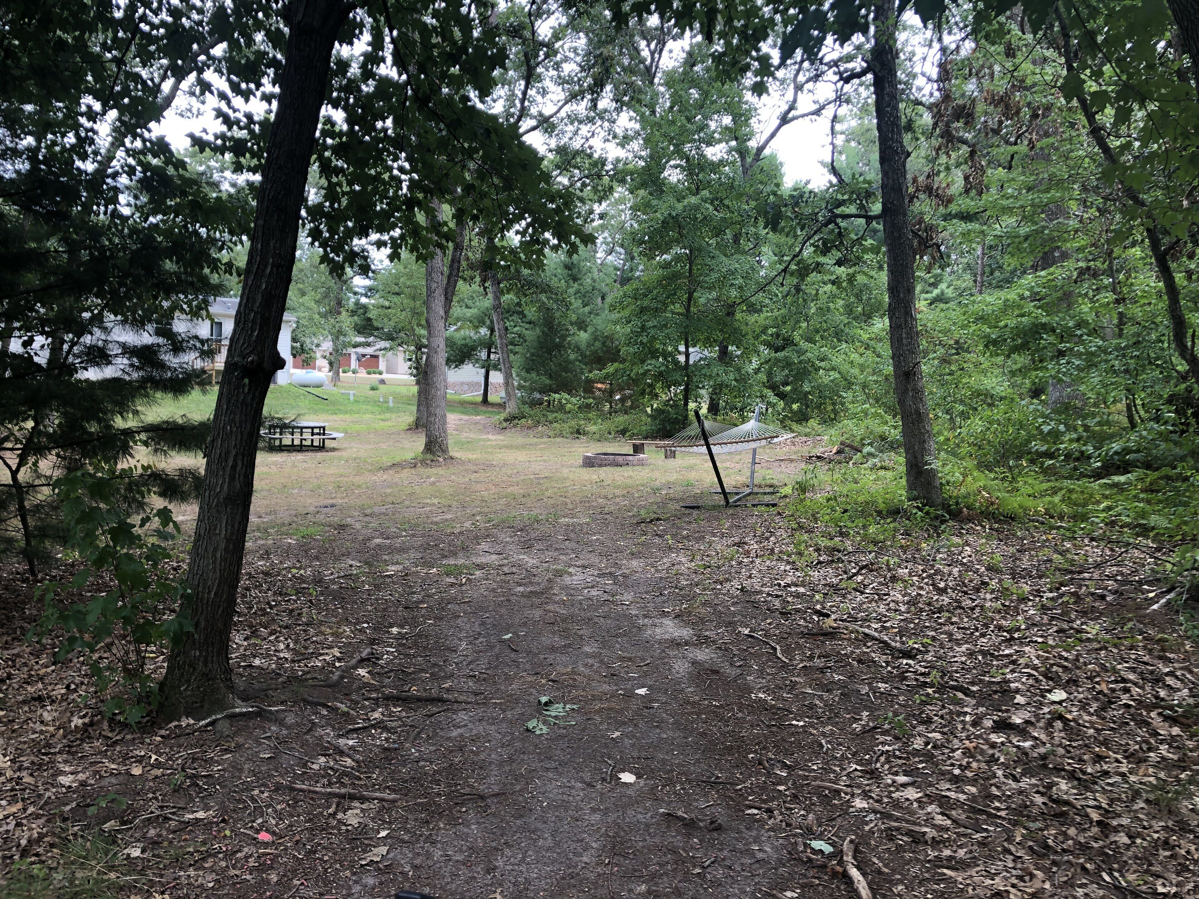 A forested area with a dirt path leading to a picnic table and a hammock.