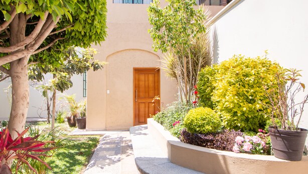 A courtyard with a stone pathway, a wooden door, and various potted plants and shrubs. - Capital O Hotel San Jose, San Luis PotosÃ­ (San Luis Potosi)