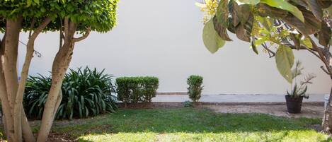 A well-maintained garden with various trees and shrubs, a neatly trimmed lawn, and a clear view of the sea in the background.