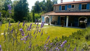 A stone building with a tiled roof, arched doorways, and a well-maintained lawn with lavender plants. - Fantastic new villa near the sea in one of the most beautiful areas of Tuscany  (Pomaia)