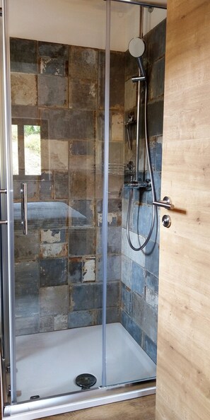 Shower, hair dryer, towels