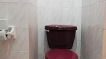 Regadera, amenidades de baño gratuitas, toallas, jabón