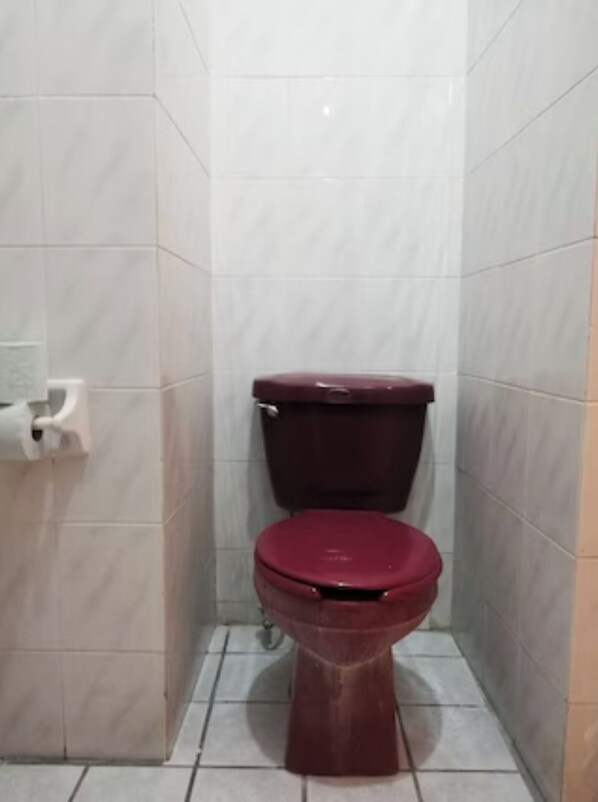 Douche, articles de toilette gratuits, serviettes fournies, savon