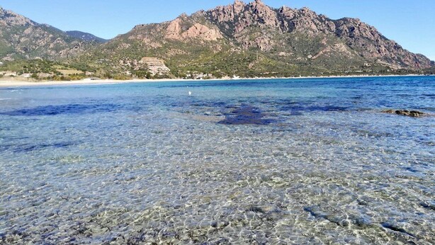A beach with clear shallow waters, a distant mountain range, and a few buildings on the shore. - Flower house - Charming cottage 500 meters from the beach (Tertenia)