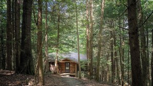 A cabin in a forest with a gravel path leading to it. - Hot Tub in the treetops with Timber Framed 2 bedroom cabin hidding in the woods (Victor)