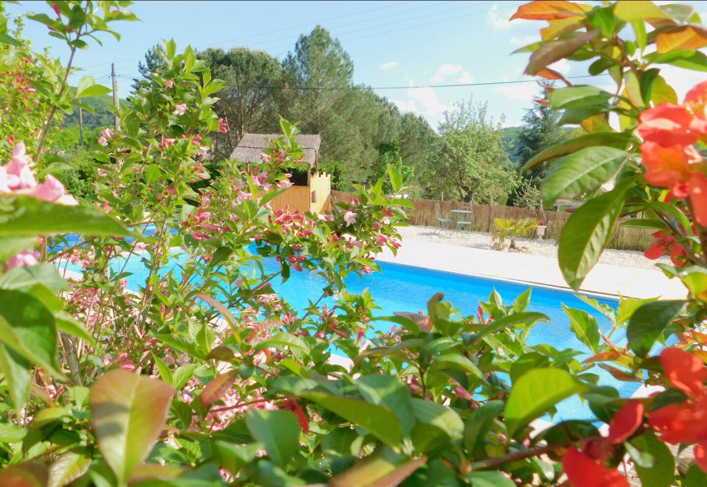 Una piscina rodeada de abundante vegetación y una estructura de madera al fondo.