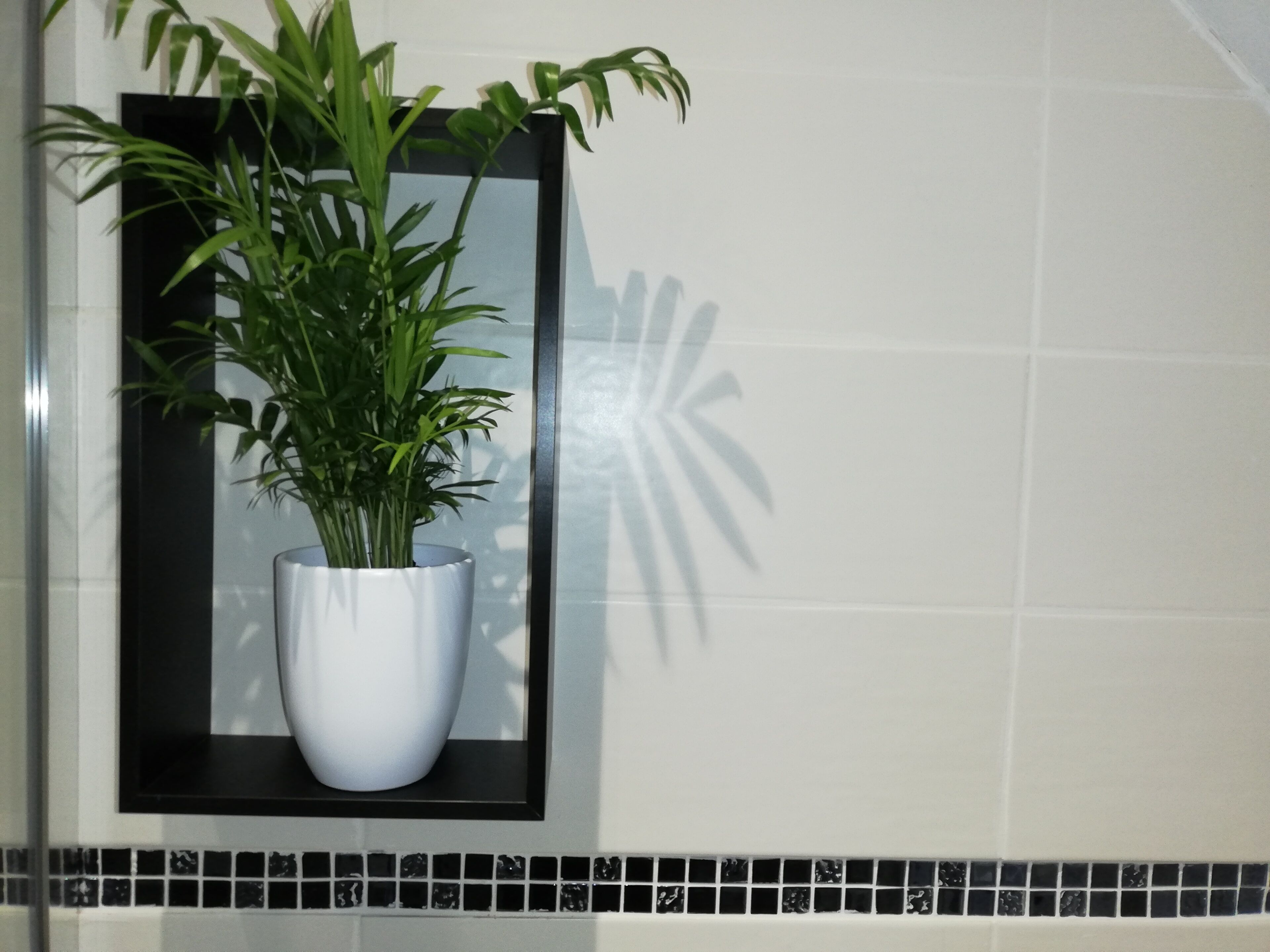 Een potplant in een witte pot op een wandplank.