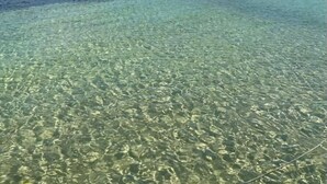 On aperçoit clairement une plage avec une eau peu profonde et, au loin, une rangée de palmiers.