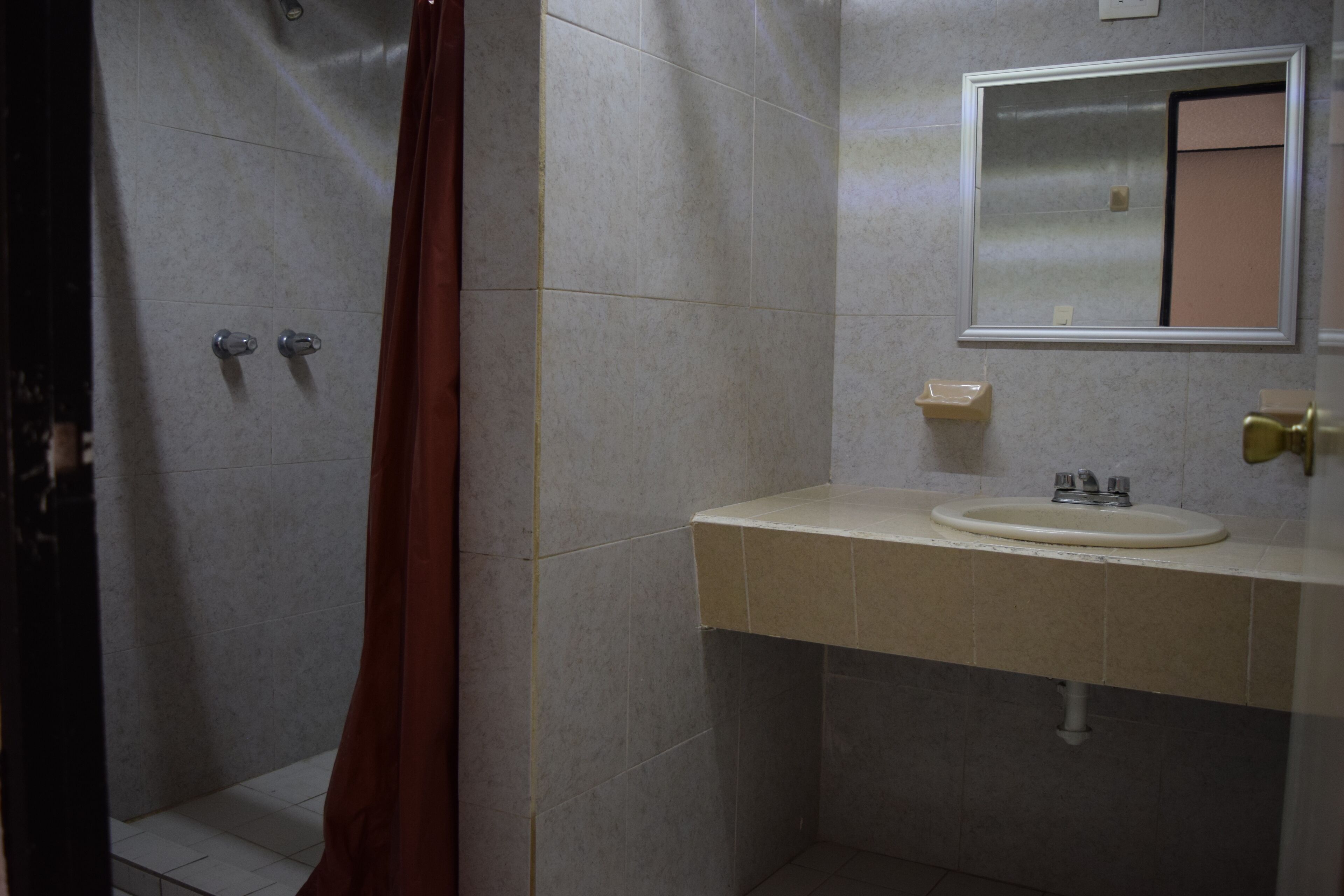 Een badkamer met een douche, wastafel en spiegel.