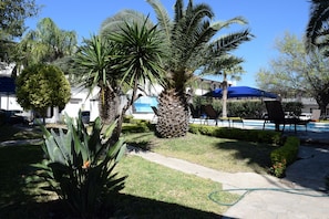 Jardín