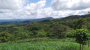 Garden - The Tapir Shangr-la Ranch (San Rafael de Guatuso)
