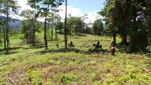 Horse riding - The Tapir Shangr-la Ranch (San Rafael de Guatuso)