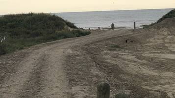 Playa en los alrededores, camastros y toallas de playa