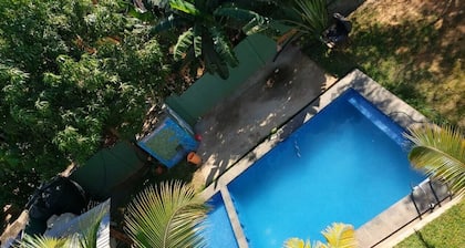 Hotel Las Palmas