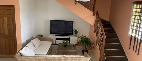 TV