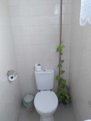 Habitación doble | Baño | Ducha, toallas, jabón y papel higiénico