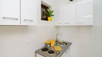 Fridge, stovetop, cookware/dishes/utensils