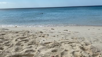 Tæt på stranden, badehåndklæder