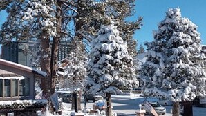 Ett snötäckt utomhusområde med ett trästaket, bänkar och snötyngda träd.