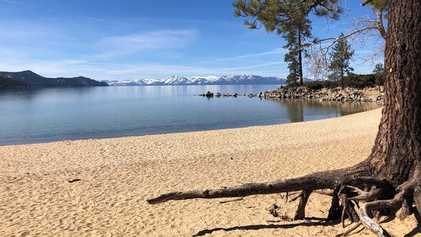 A beach with a clear view of a calm lake, a distant mountain range, and a tree on the right. - Charming 2-bedroom townhome in Incline Village close to mountain and restaurants (incline village)