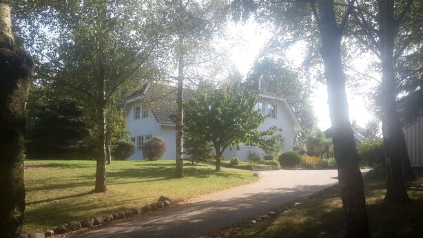 Una calle residencial con una casa, árboles y un camino de entrada.