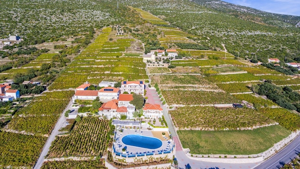 Vue aérienne d’un domaine viticole avec des terrasses cultivées, une piscine et un grand bâtiment aux toits rouges.