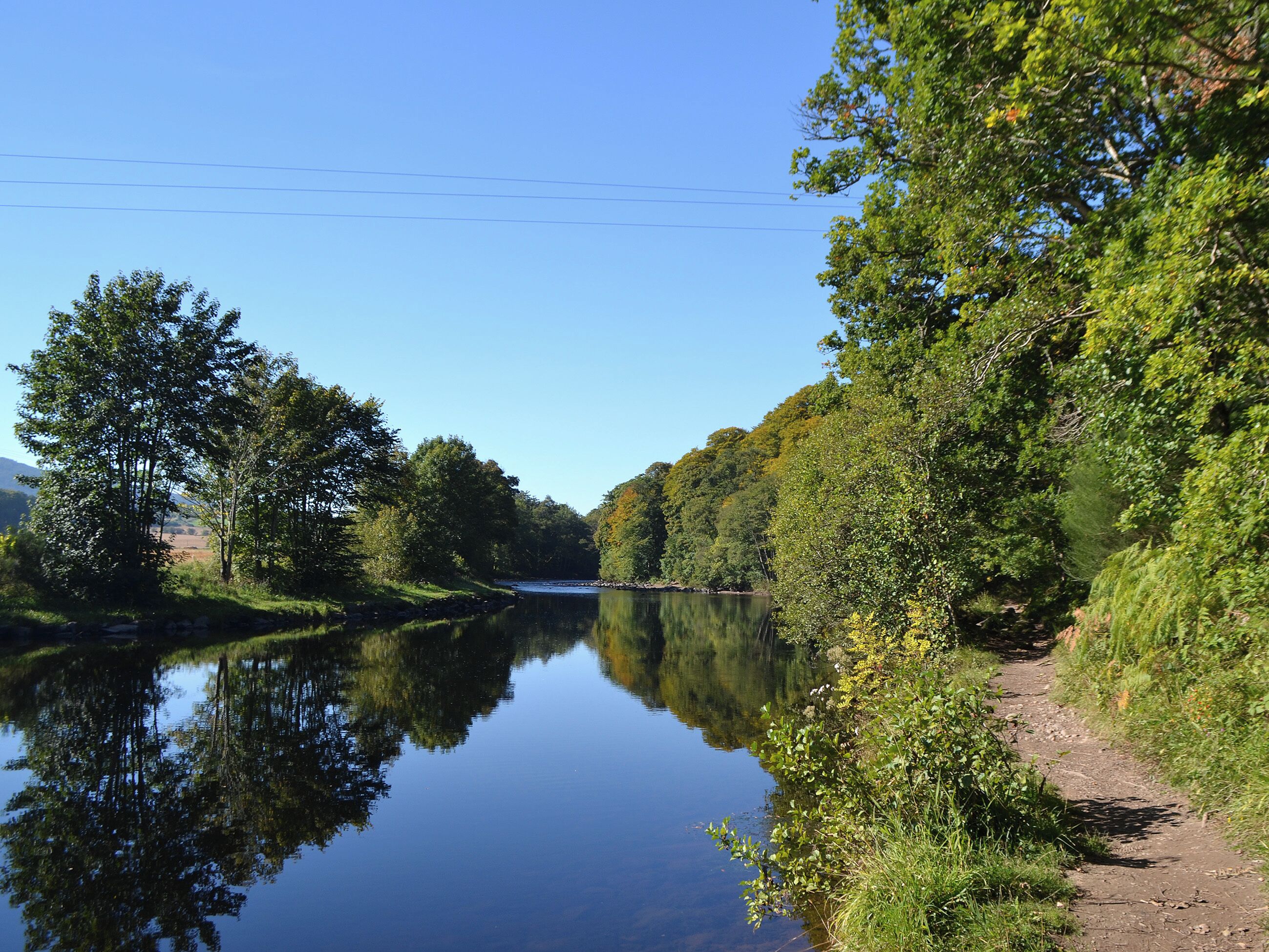 Ein ruhiger Fluss, gesäumt von dichtem Baumbestand, mit wolkenlosem Himmel und einem Feldweg am Ufer.