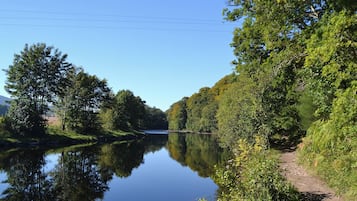 Ein ruhiger Fluss, gesäumt von dichtem Baumbestand, mit wolkenlosem Himmel und einem Feldweg am Ufer.