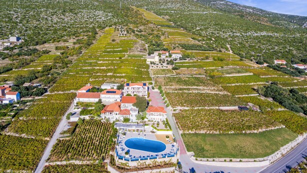 Vista aerea di una tenuta vinicola con campi a terrazza, una piscina e un edificio grande con tetti rossi.