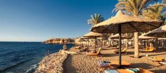 Guesthouse 4 in sharm El sheikh directly on the pool and sea view
