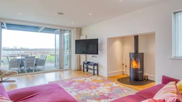 TV, fireplace