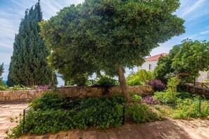 A landscaped garden with a variety of trees and shrubs, a stone wall, and a paved walkway.