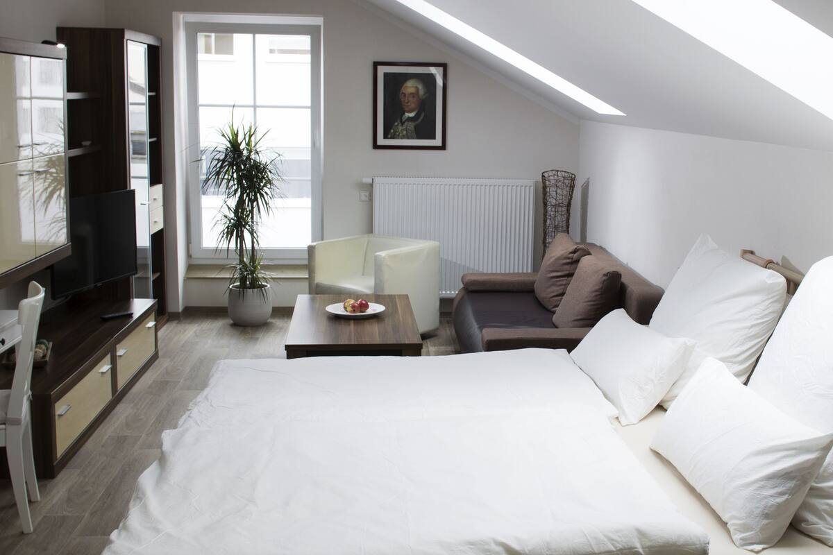 Un dormitorio moderno con una cama grande, un escritorio, una silla, un televisor y una planta en maceta.