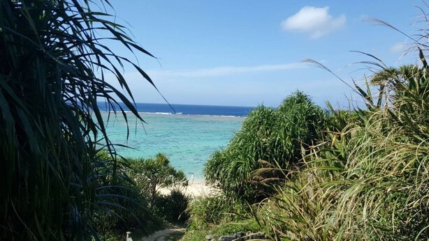Camí cap a una platja amb aigua turquesa cristal·lina i vista a l'oceà.