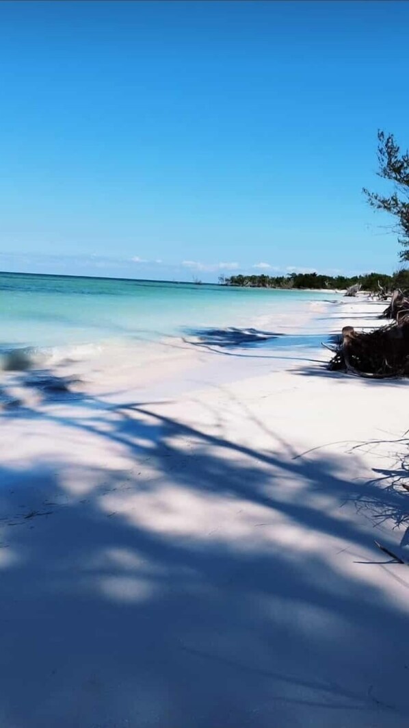 Beach nearby, beach shuttle, beach bar