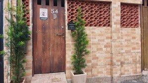 A building with a wooden door marked "54 D" and a sign indicating a garage. There are two potted plants in front of the door.