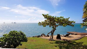 Vista sulla spiaggia, con un albero, un pontile di legno e una limpida visuale sull'oceano.