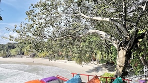 A wooden deck with colorful cushions, overlooking a beach with palm trees and a clear sky. - So Good Haad Rin Hostel (Ko Pha-ngan)