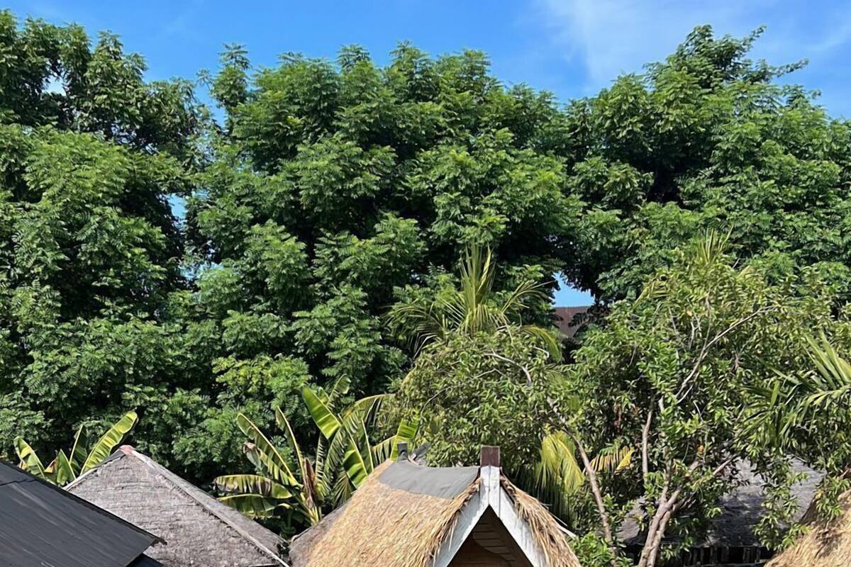 Cottage truyền thống, 1 phòng ngủ, không hút thuốc, quang cảnh hồ bơi | Két bảo mật tại phòng, truy cập Internet không dây miễn phí 