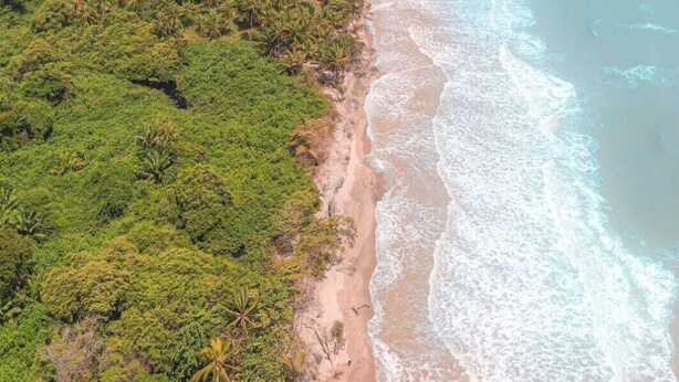 Vue aérienne d’une zone côtière avec une plage, une végétation luxuriante et une route qui longe la côte.