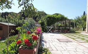 A garden with a stone pathway, potted plants, and a wooden structure.