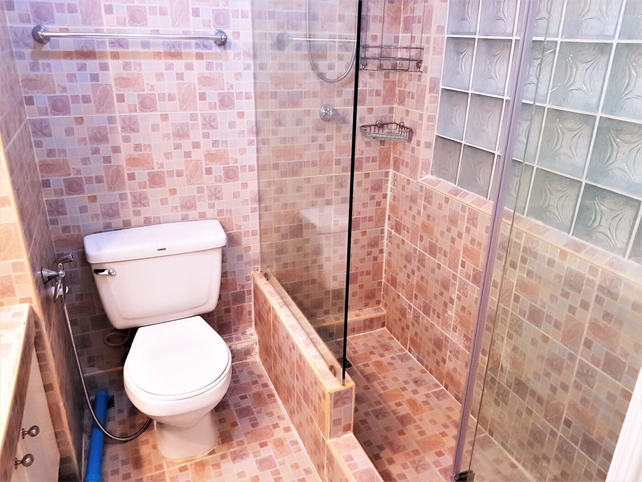 A bathroom with a toilet, a shower, and a glass-enclosed shower stall.