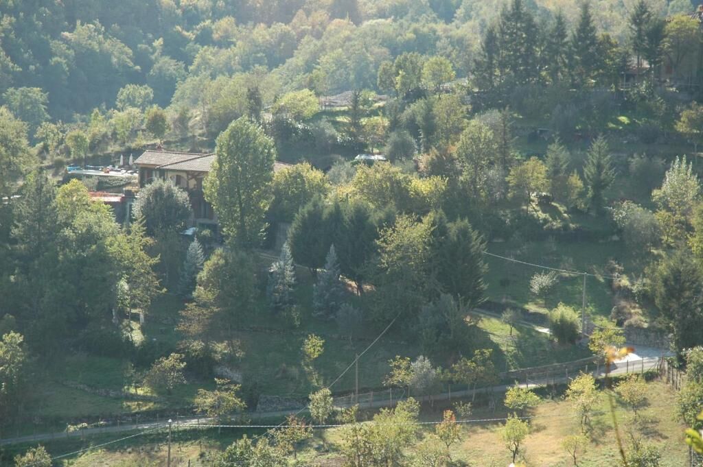 Een landelijk landschap met verspreide huizen, omringd door dichte bomen.