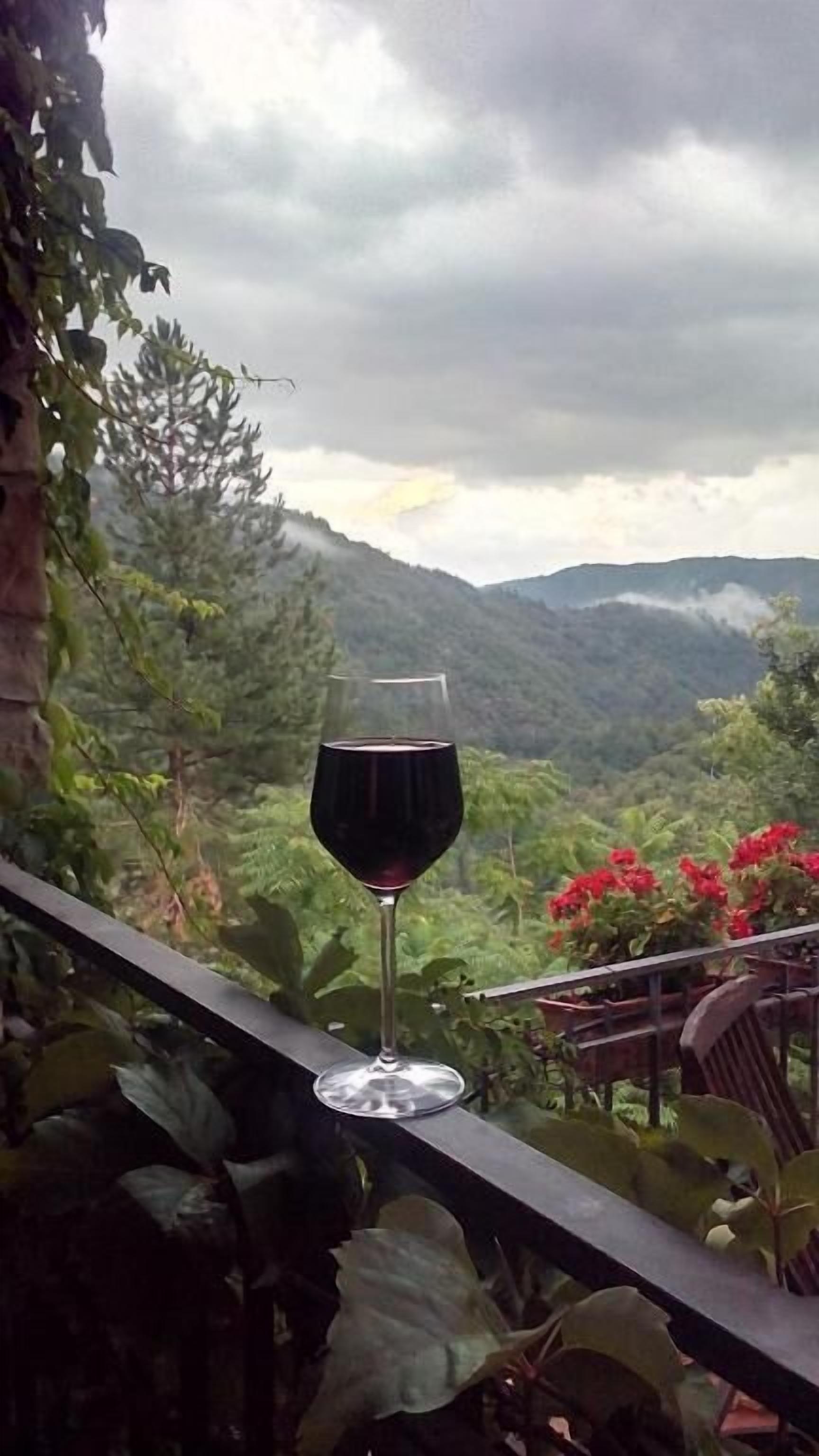 A glass of red wine on a balcony overlooking a mountainous landscape with lush greenery and red flowers.
