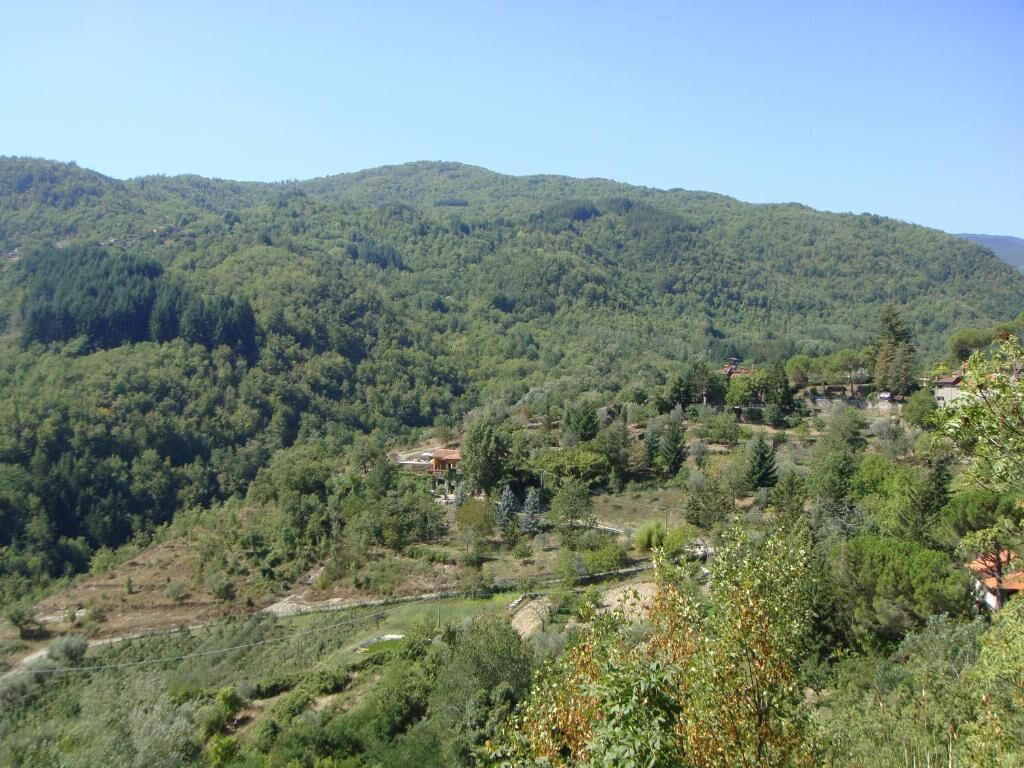 Un paysage montagneux, avec une forêt dense et quelques bâtiments dispersés.