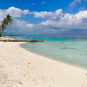 Sun-loungers, beach umbrellas, beach towels - Blue ocean maldives (Huraa)